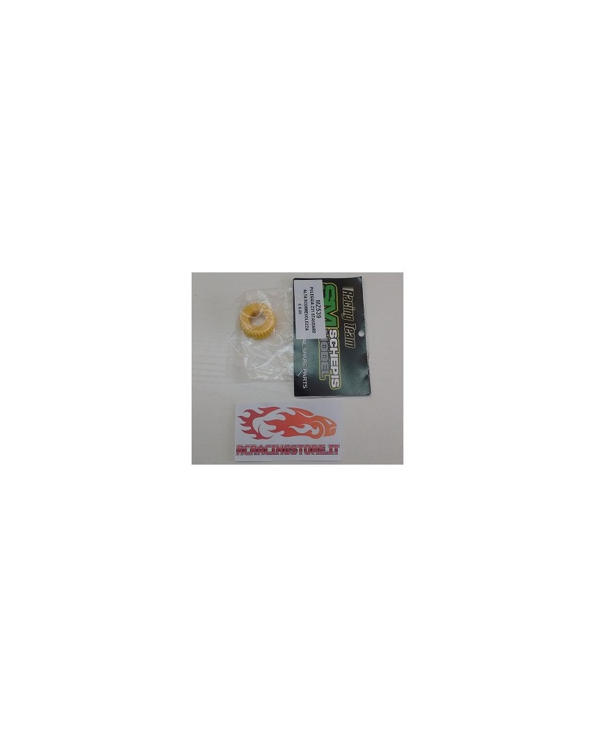 Puleggia Z31 Standard